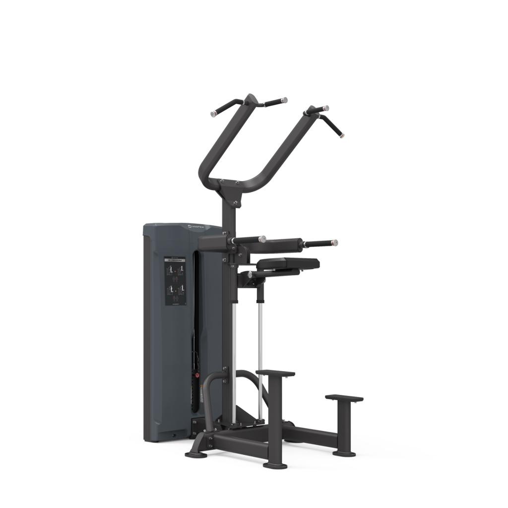 N1604 | DIP / CHIN MACHINE
