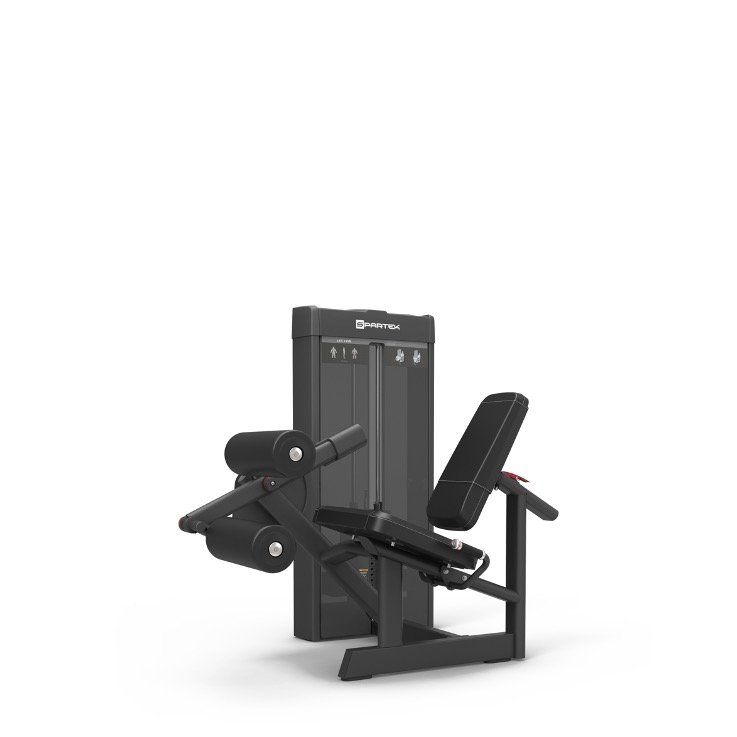 E2006 | LEG CURL