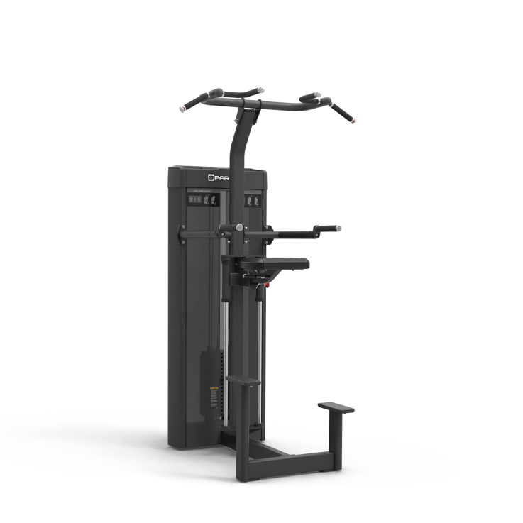 E2014 | DIP / CHIN MACHINE