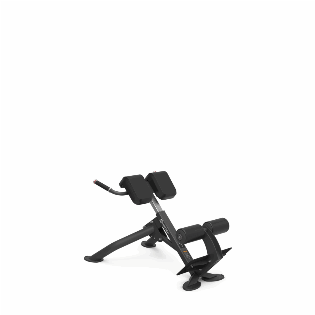 F0220 | BACK EXTENSION