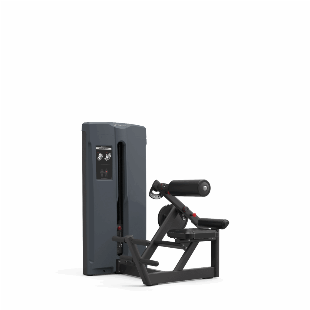 N1710 | BACK EXTENSION