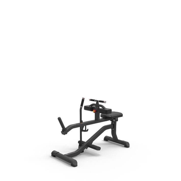 P0232 | SEATED CALF