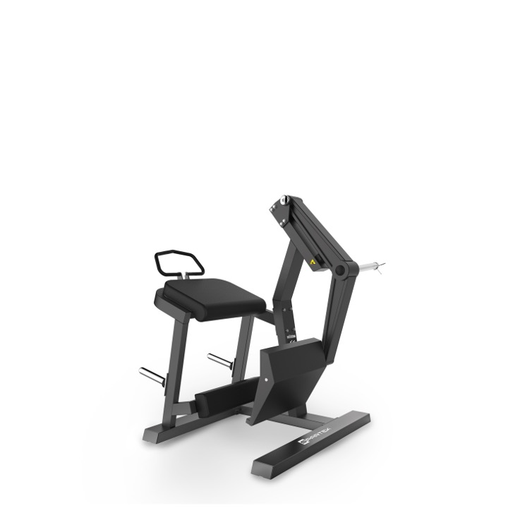 P1010 | REAR KICK
