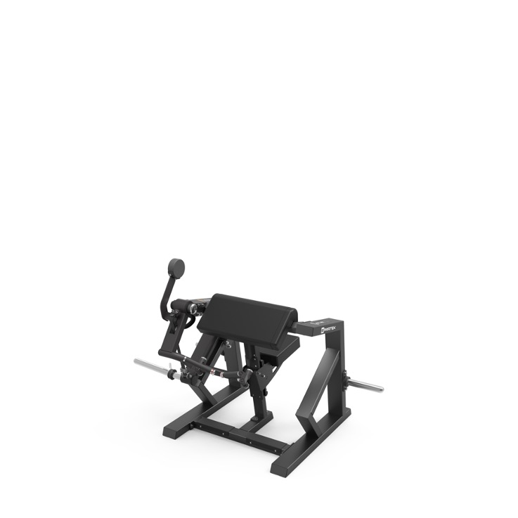 P1013 | BICEPS CURL