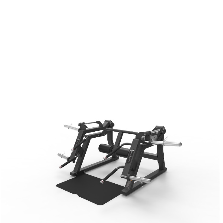 P3015 | DEADLIFT / SQUAT LUNGE