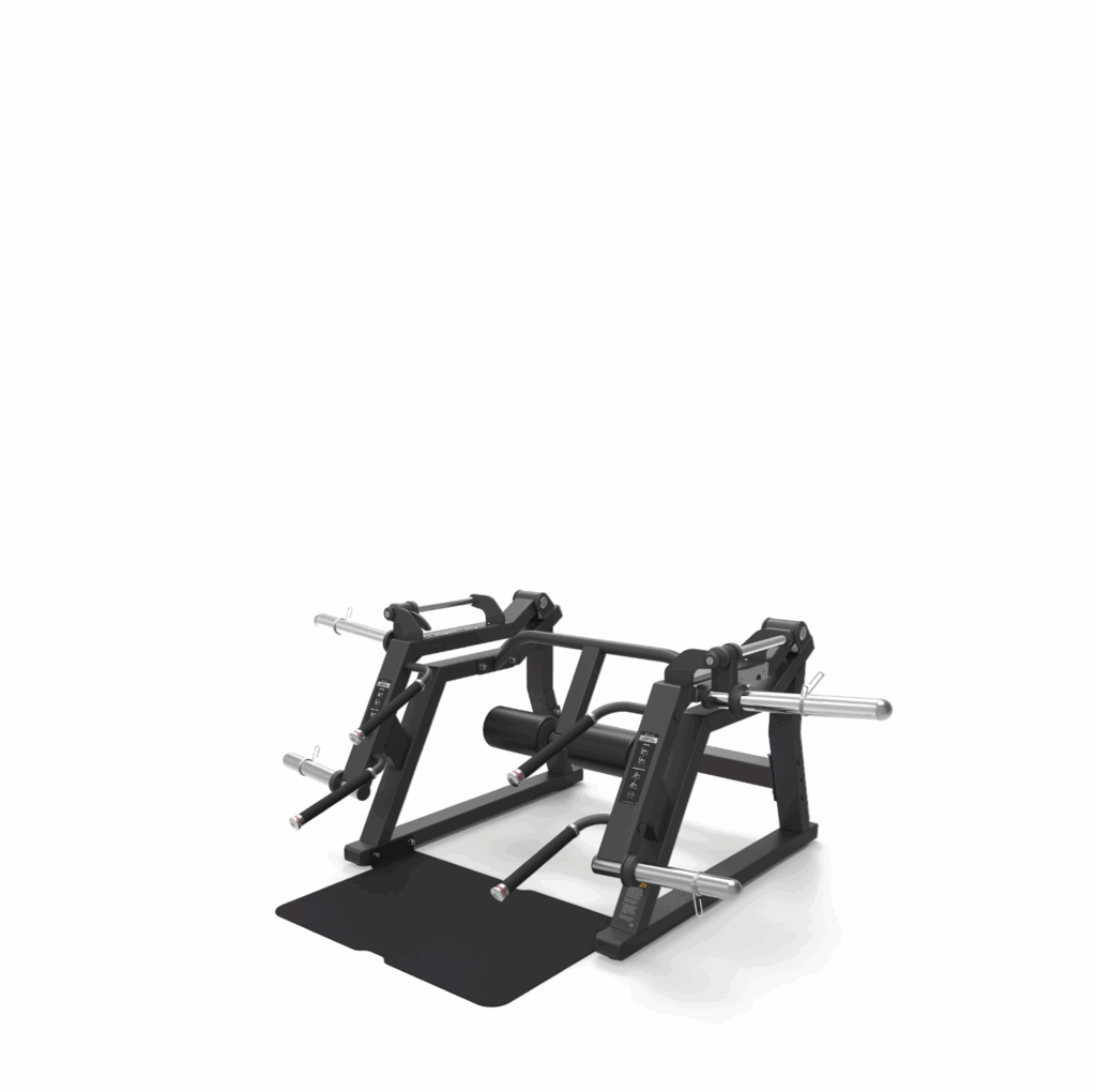 P3015 | DEADLIFT / SQUAT LUNGE